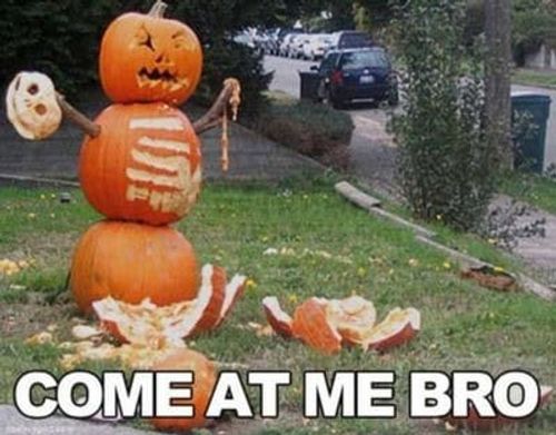 hilariously-spooky-halloween-decoration-memes-weve-had-up-since-early-august-22