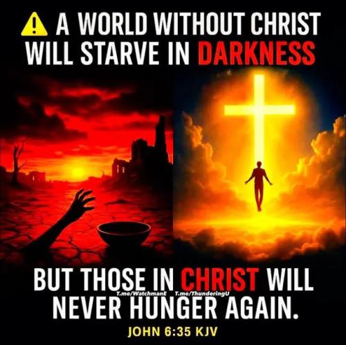 IMG_20251020_192254_696