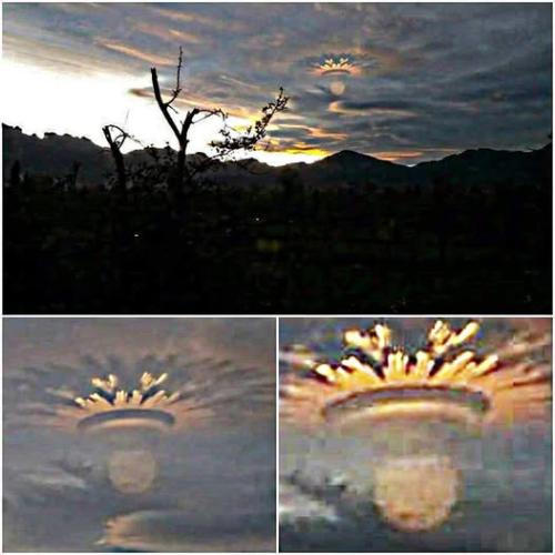 ,          ,  0424775766_746362