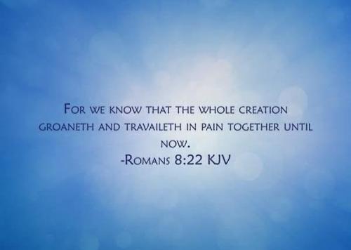 ca60cc07-47d3-42c9-a302-f7f49317805c