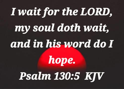 954e1862-720d-496b-924b-11ebf38a5eee