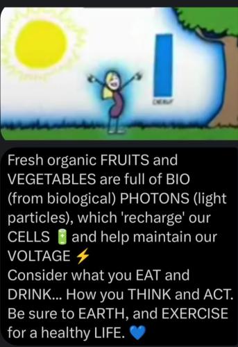 ,          ,  0424775766_746362