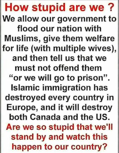 FB_IMG_1762450549793