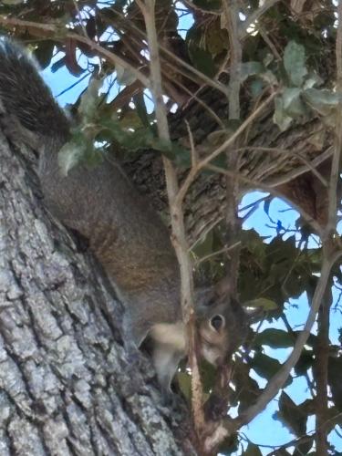 F39CC31D-9697-40DE-A4E2-BB07F36C4DEE