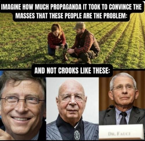 IMG_20251118_174018_668