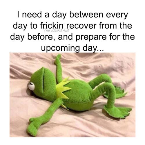 IMG_20251120_114952_535