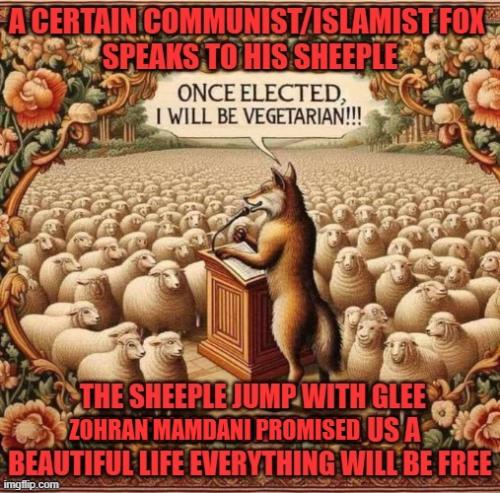 COMMUNISTFOXZohran Mamdani