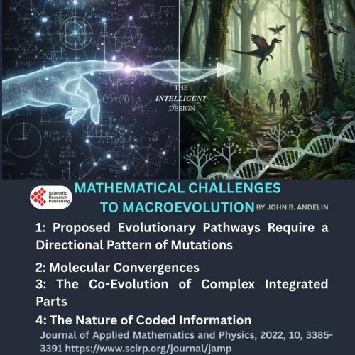 FB_IMG_1763318086957