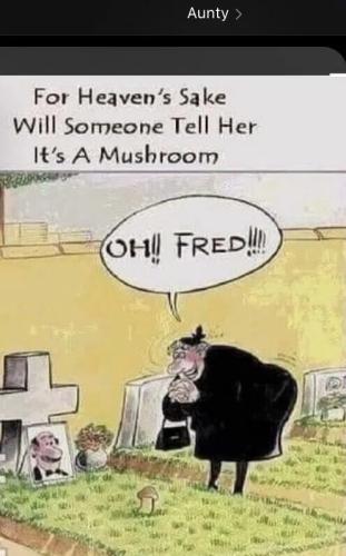 tell-her-it's-mushroom