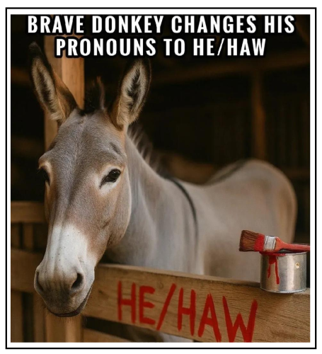 brave donkey
