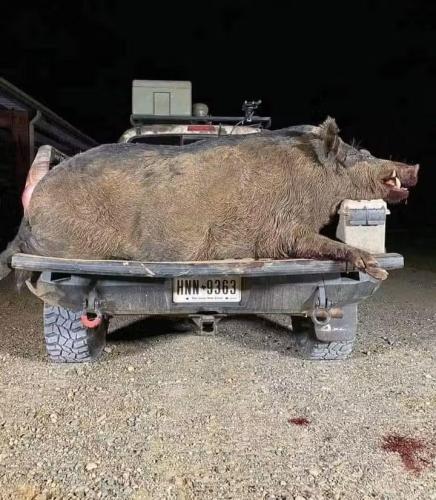 21c33a0e-afbb-42f1-86e6-f69e49a93c7b