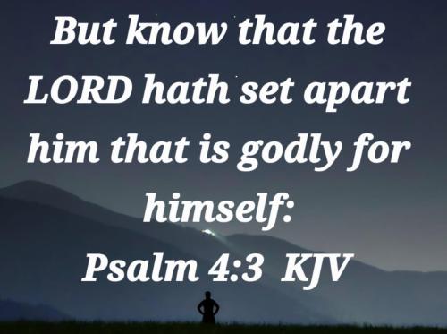 c6c841fb-53ac-4051-bfc8-7fa4a0f1ae62