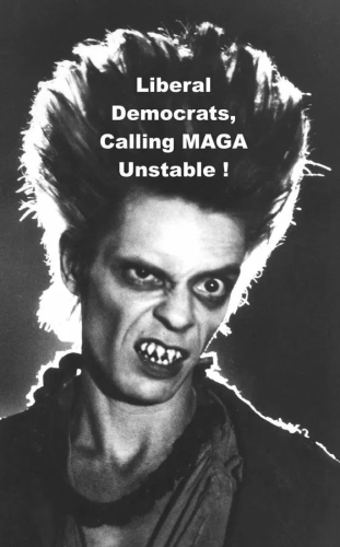 image_2025-11-10_063606458