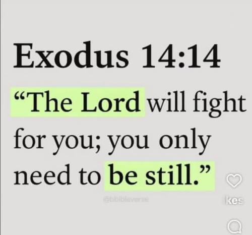 IMG_20251121_194011_844