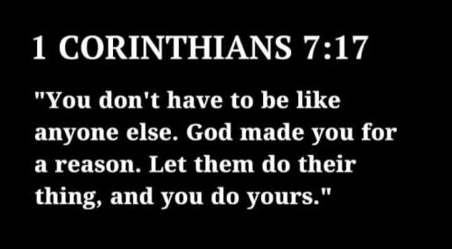 IMG_20251127_184000_954