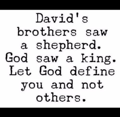 IMG_20251116_142109_892