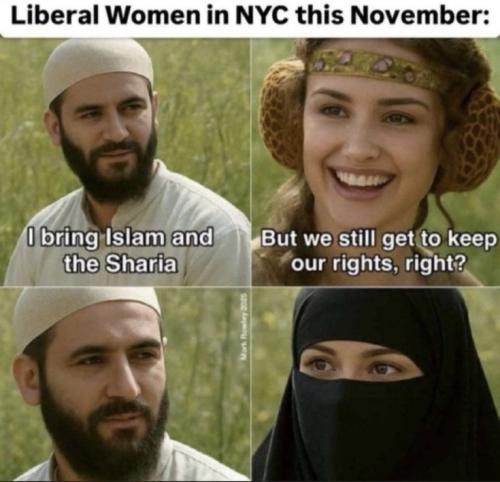 68c770dad709353b5a010110a5003204