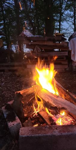 Screenshot_20251124_185540_Gallery