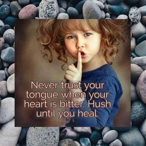 d7e83bb4f340bb821bc2c17db2cb3c5e_l