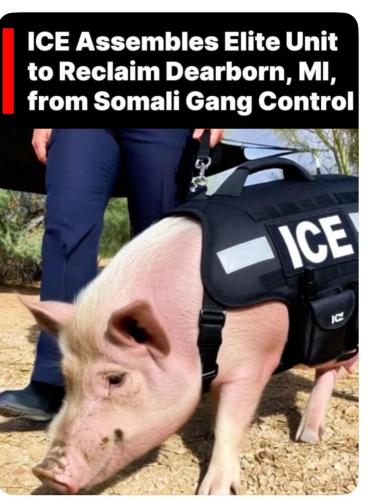 FB_IMG_1764263949332