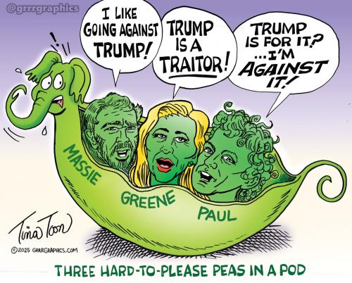 three_anti_trump_peas-in-pod-Paul-Greene-Massie-1536x1236