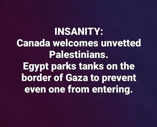 insanity