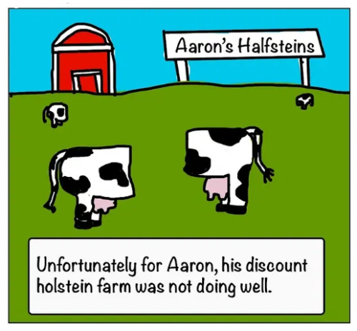 discount-holstein