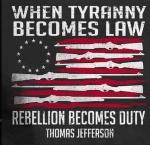 Screenshot_20251111_090355_Gallery