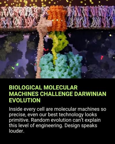 FB_IMG_1762237562848