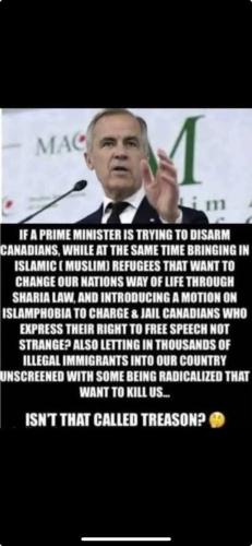 FB_IMG_1762991138021