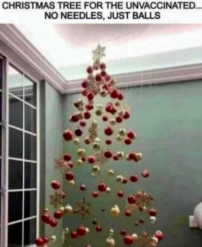 image_7D9B90E0-2A62-493F-9EA5-7899709B201C