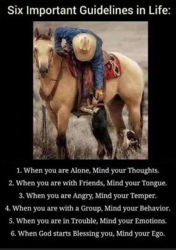 1be8dd888451717a04deb163c276ef3e