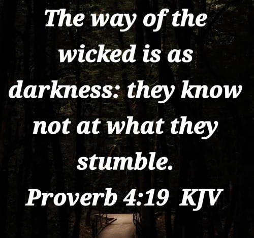 50b9d6f6-fc35-46bb-bd9e-aa986eab29cc