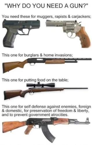 This one for self defense against enemies foreign and domestic !