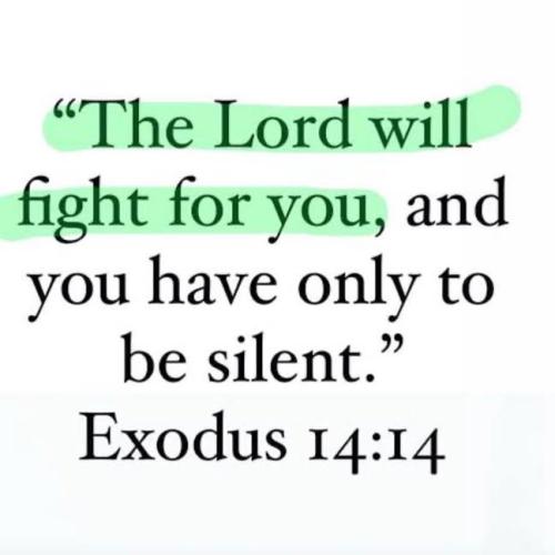 IMG_20251124_193925_762