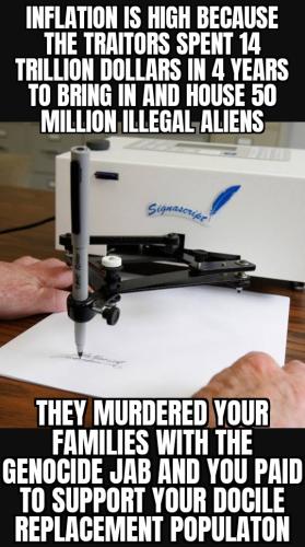 ZomboMeme 23112025142043