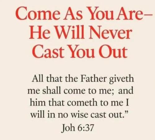 IMG_20251108_232824_134