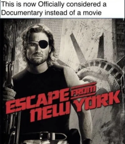 image_2025-11-06_064800852