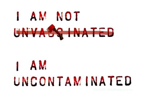 FB_IMG_1763386826633