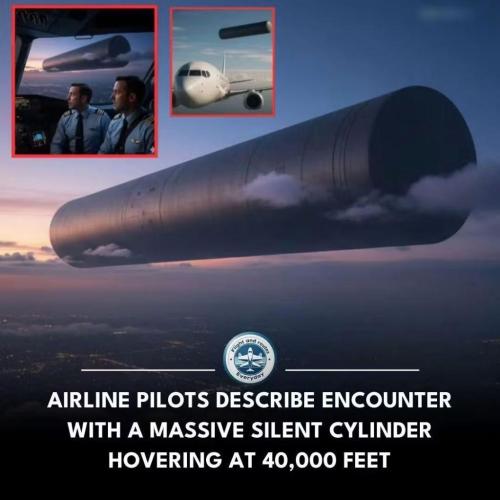 100b7860-2b2f-40f5-8a41-2e4876f3c6bd