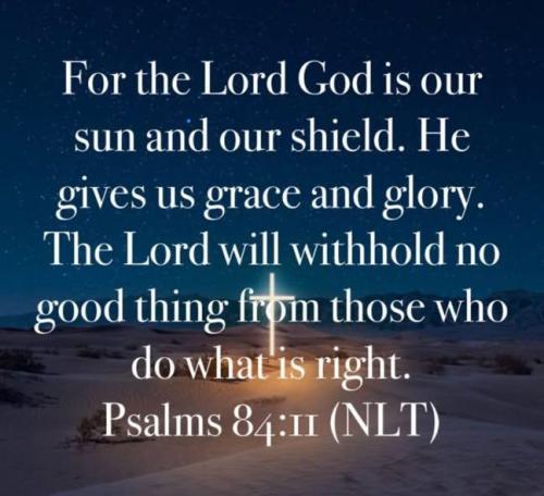 IMG_20251122_195734_269