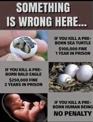 bc75eb06-0996-4cd9-89b8-bee452b971eb