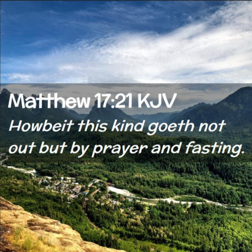 Screenshot_20251111-122959-189