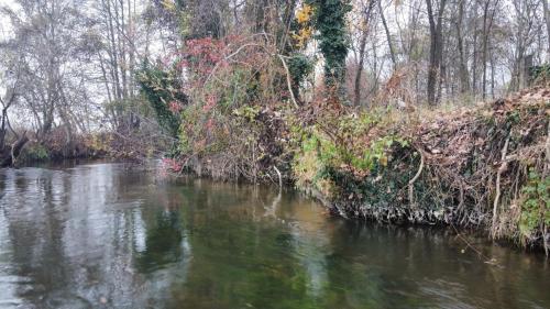 dji_fly_20251115_152654_685_1763220282665_photo_optimized