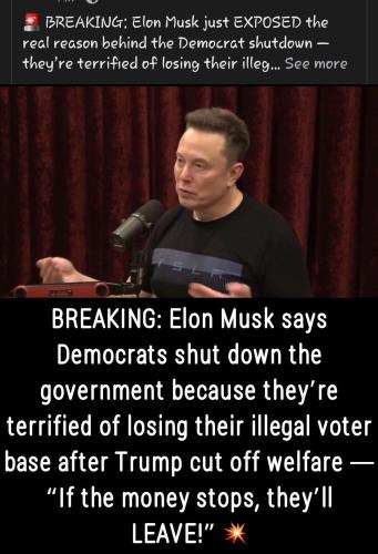 DemoniKKKRats need their voters, illegal aliens