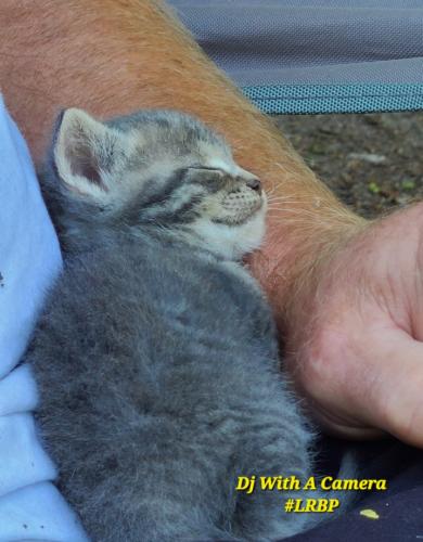 Screenshot_20251127_073006_Gallery