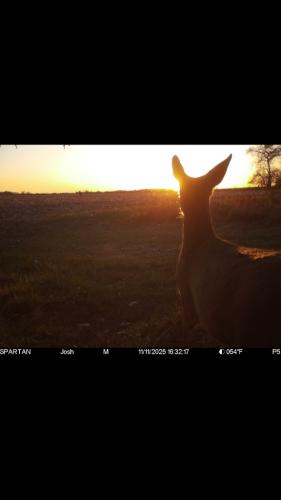 6AD559E1-632C-48B3-8CA6-4CB57272DB5E