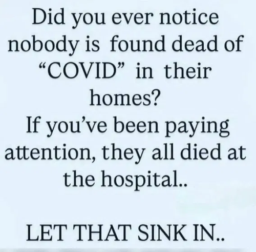 image_2025-11-16_093721936