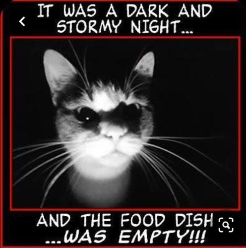 e9999d2e1fef6b039d7f319ab4b91c3d