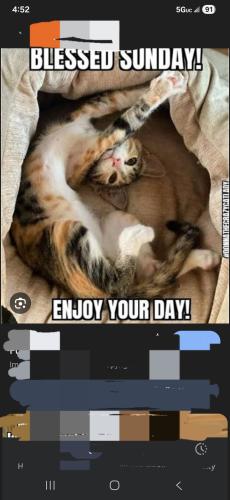 Screenshot_20251109_045257_Google